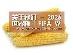产品名称五