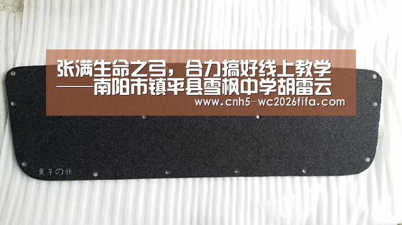 张满生命之弓,合力搞好线上教学——南阳市镇平县雪枫中学胡雷云老师|2026世界杯(图1) 2026世界杯官网