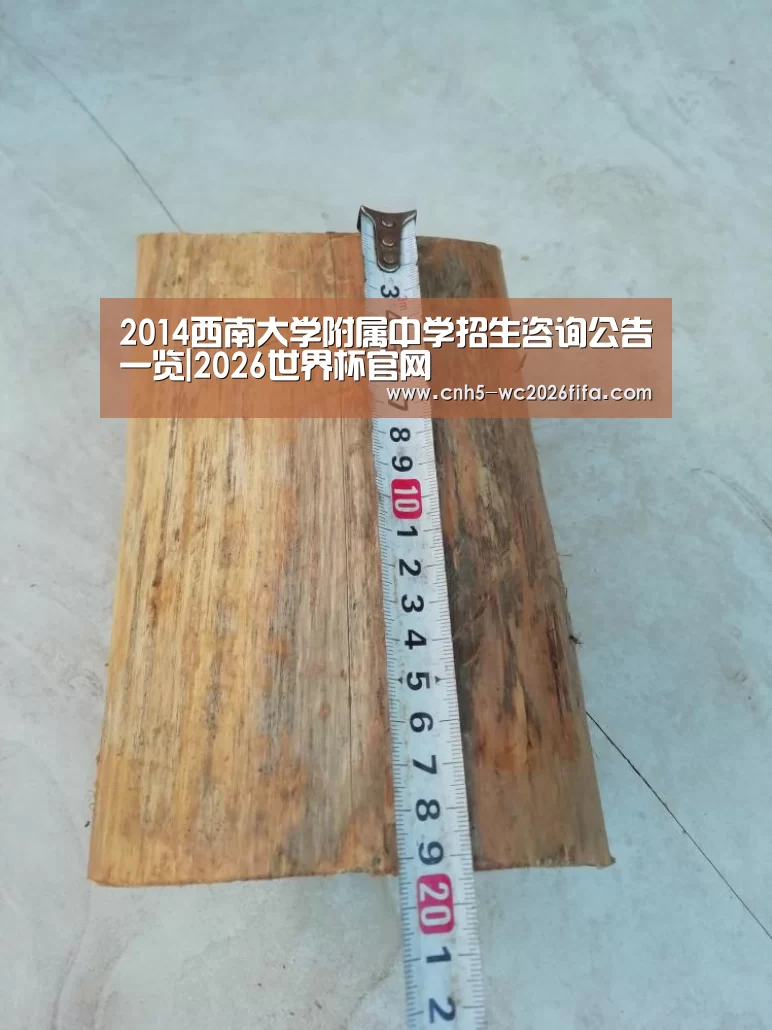 2026世界杯