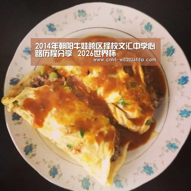 2014年朝阳牛娃跨区择校文汇中学心路历程分享-2026世界杯(图2) 世界杯买球